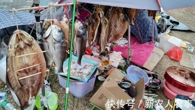 广西邕江边现罕见场景,钓鱼人纷纷打重窝,还带上帐篷和锅碗瓢盆
