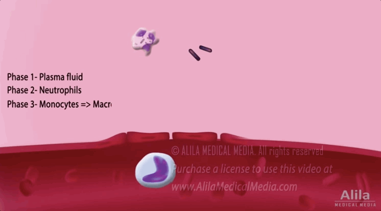 moony|人啊，就是要脸皮“厚”一点