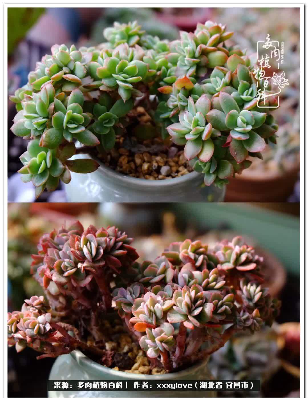 时光匆匆,一闪而逝,这世间万物的美,都值得被记录!