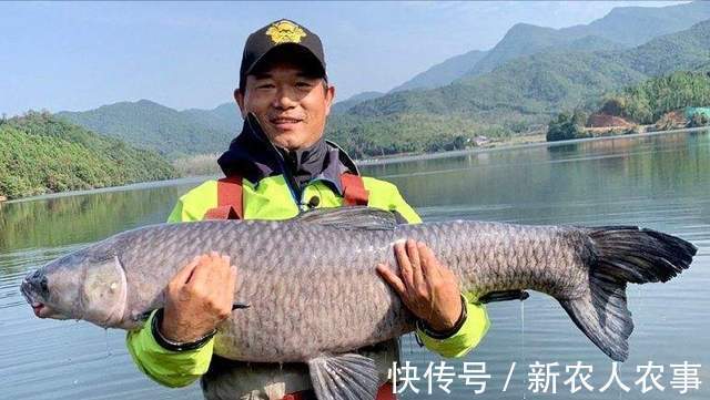 兴趣爱好|钓鱼界的天花板！河南七旬老人钓鱼带着氧气瓶，一边吸氧一边垂钓