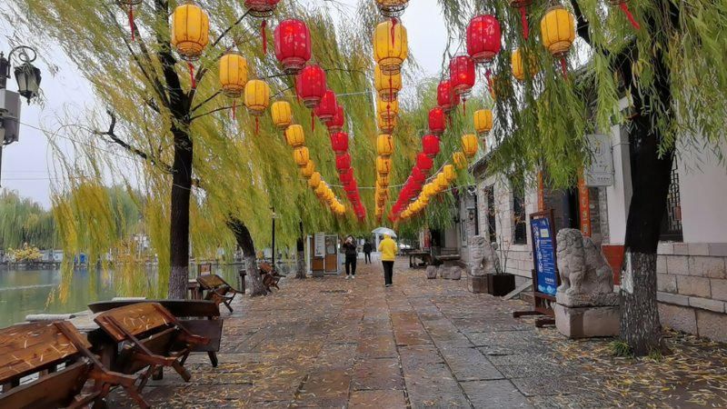 美景|冬雨中的百花洲，游人漫步赏美景