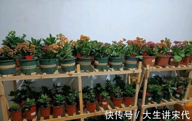 电器|养花时最爱“犯的5个错”,养一盆死一盆,全做过的请举手!