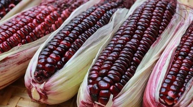 淡化|女性秋天爱美,吃养颜的食物,淡化色斑,补水护肤,保持皮肤弹性