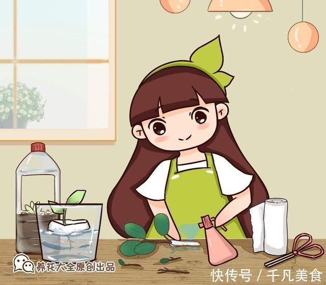 只用叶子也能扦插，这花把叶子剁5段，插到土里就能长成5盆花