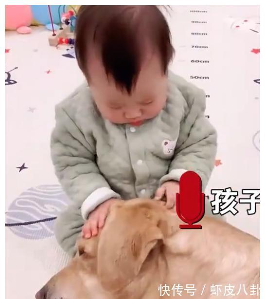狗狗|江苏一萌娃第一次喊“爸爸”,却是对着狗狗喊,爸爸心里五味杂陈