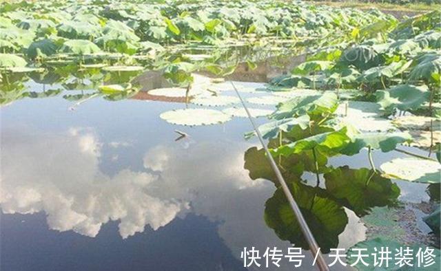 鲫鱼是最容易钓的,如果连鲫鱼都没钓到,需要在多个方面找原因