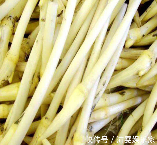 气色|胶原蛋白不足，不妨多吃此菜，补血润燥还除斑，白皙水嫩气色靓