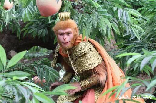 唐僧@西游记中,为什么孙悟空只咬一口蟠桃就扔掉,背后真相佩服