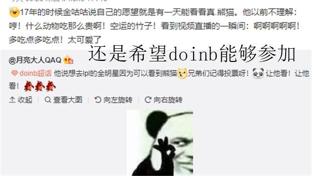 到大熊猫|doinb不想去全明星，老婆却帮他投票，只为一个3年未能实现的愿望