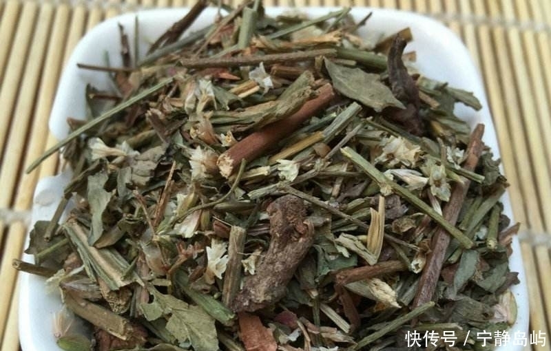 却是|这种砂土地上生长的植物,花朵是配花材料,全草却是止血的好药材