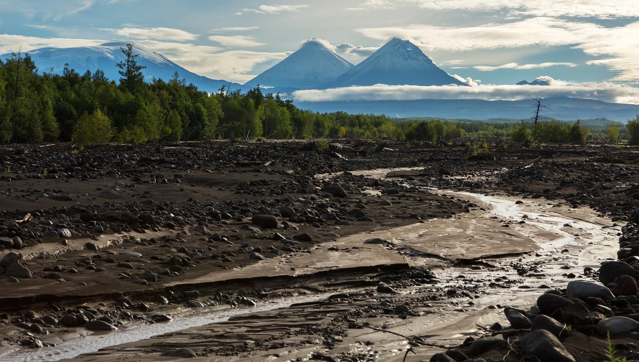 《卡门》，好看的小说 略微另类的梅里美