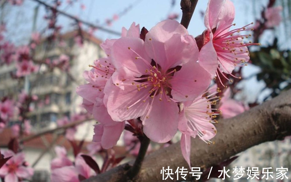 婚得|老祖宗说“一家不容三姓人”,分别是哪“三姓”,结了婚得看看