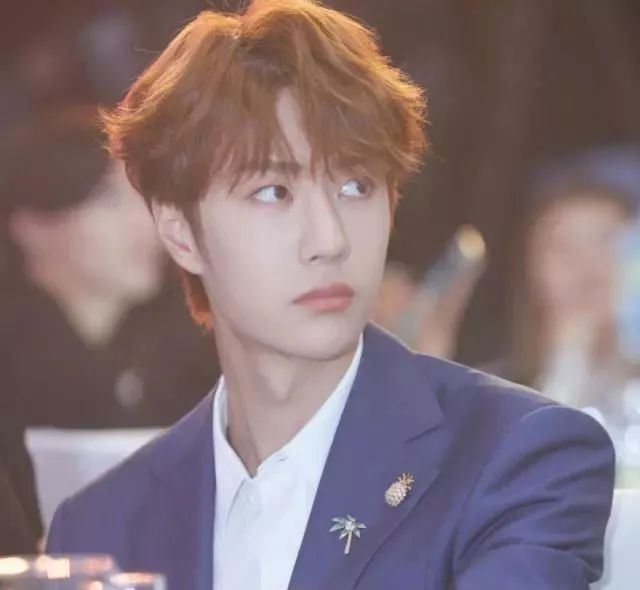 王一博|没等来《陈情令》团综，王一博就迎来新综？MC阵容也太盛大了吧