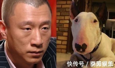 孫紅雷寧愿“裝瘋賣傻”也不接戲,原因很簡(jiǎn)單,打臉半個(gè)娛樂(lè)圈