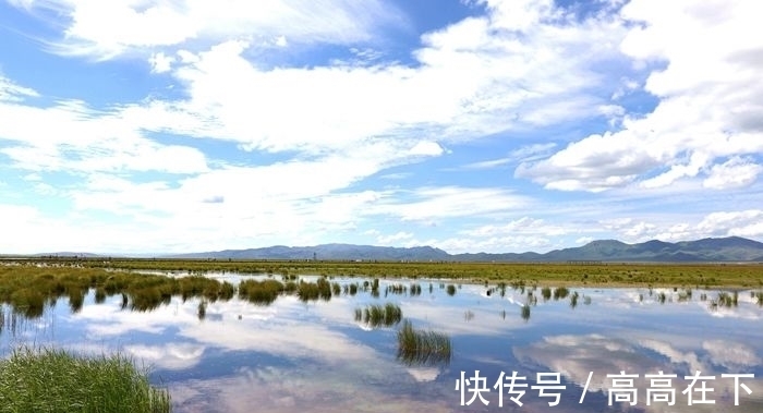 花湖|有一个美丽的地方叫若尔盖花湖