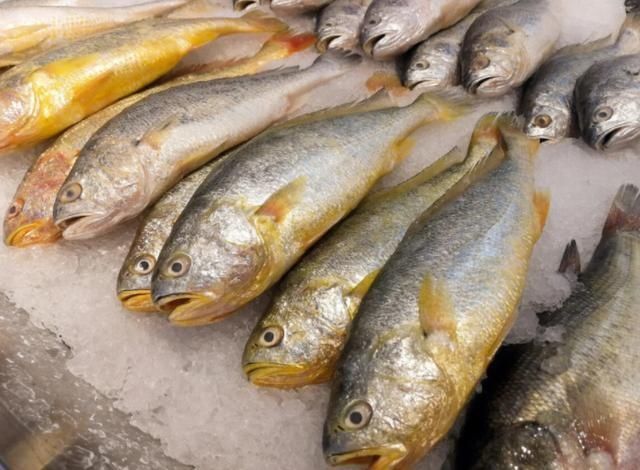 买鱼时，内行人专挑这3种海鱼买，无法人工养殖，肉质鲜嫩还便宜