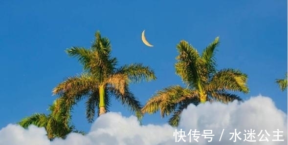 气场|特立独行，气场强大的三大星座，天生的领导命，人前存在感十足