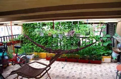 老公不顾反对买二楼的房子,完工后多出一个小花园,邻居都羡慕