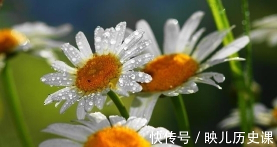 3天后,向往爱情,春意乍现,温情长流,为爱执着,大胆爱一回