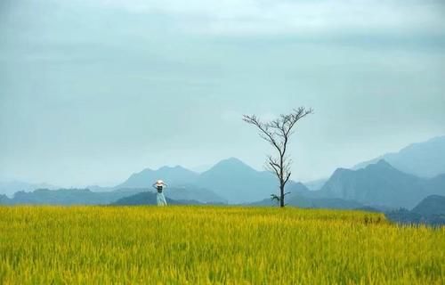 告诉自己|写给考研的学生：多一点努力，就多一份幸运