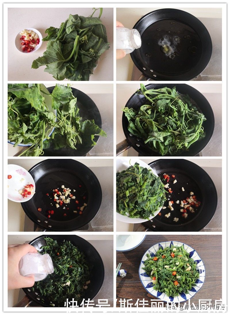 南瓜苗|自从开始减肥,晚餐我就吃这么一盘,清肠刮油,1周后果然苗条了