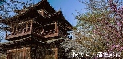 青龙寺|青龙寺：西安一座“樱花寺庙”，向你展示曾经的大唐盛世