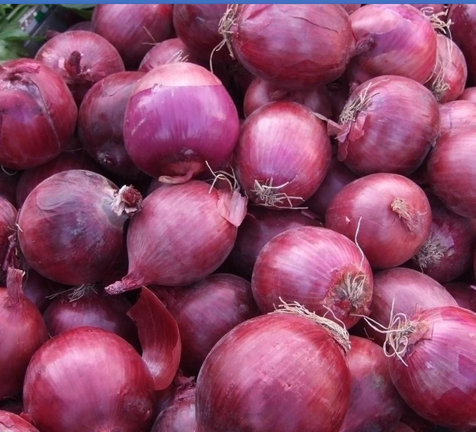 黑木耳黑木耳|血管的''清洁工''终于找到了,每天吃两口,血管不堵不硬