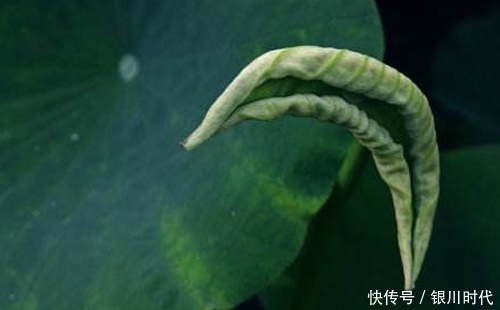 眼部不适,生活里这些妙招要学起来,饮食方面也别忽略