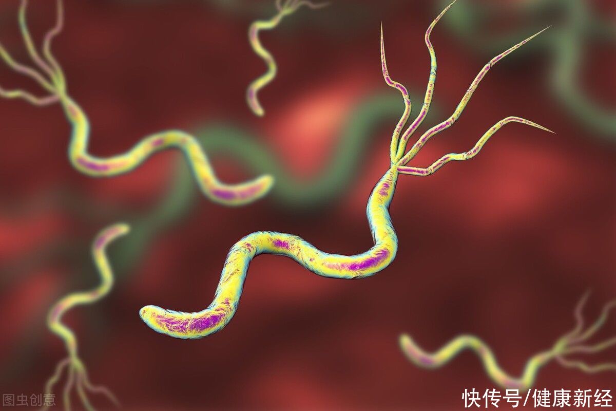 致癌物|不想感染幽门螺杆菌,就要远离这3种不良习惯,胃不难受