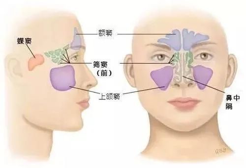 蒂部|鼻窦肿瘤反复发作，影像导航系统手术解难题