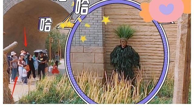 |《牛气满满的哥哥》首播告捷!嘉宾出场太搞笑,又是下饭综艺