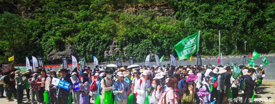 绿野网|环保公益这件事绿野坚持了九年绿野“青山行动”圆满完成！