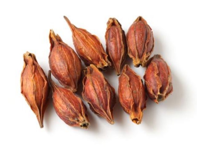 栀子花|一朵美丽的花,竟然是“去火”第一药,可清除五脏之火