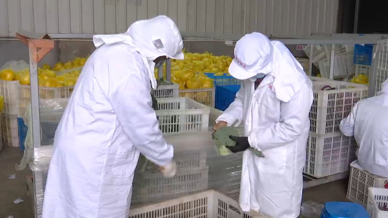 乌鲁木齐+优质的南宁农产品行业电话是多少