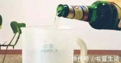 这种“溶液”比柳树枝、蚯蚓粪都强,每家都能做,浇一点就爆盆