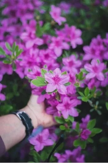 心情好坏&岁月,两个字,写起来简单,听起来幽远