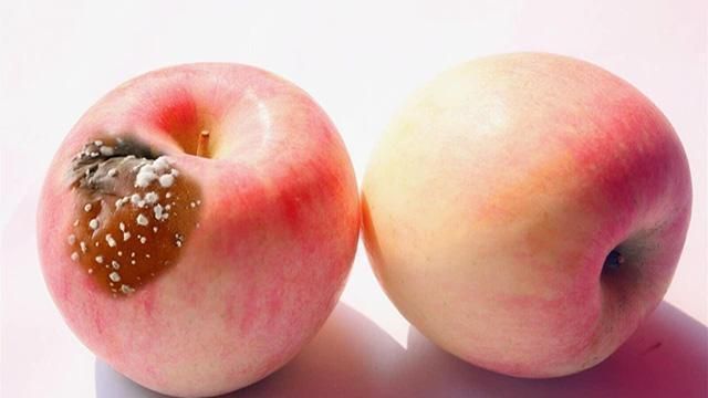 这种水果会影响肝你知道吗?家家户户都有,希望你别再吃了