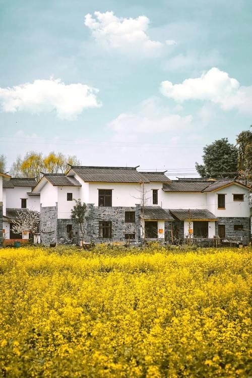 春暖花开日，这些“宝藏”赏花地，值得你打卡