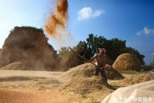 古人讲“过了夏至节,夫妻各自歇”,啥意思农村人才懂的俗语