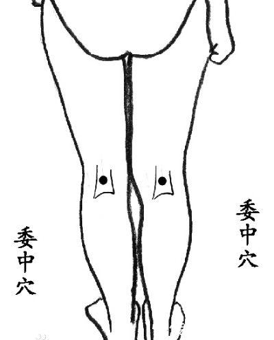 关元穴|人体有10个“超级穴位”,每个都是一味名贵中药,内附高清大图