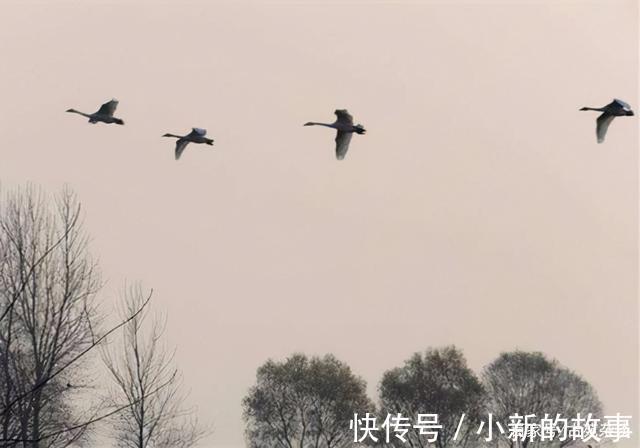 疏狂&疏又何妨,狂又何妨,疏狂之中情意长,这首词值得一读