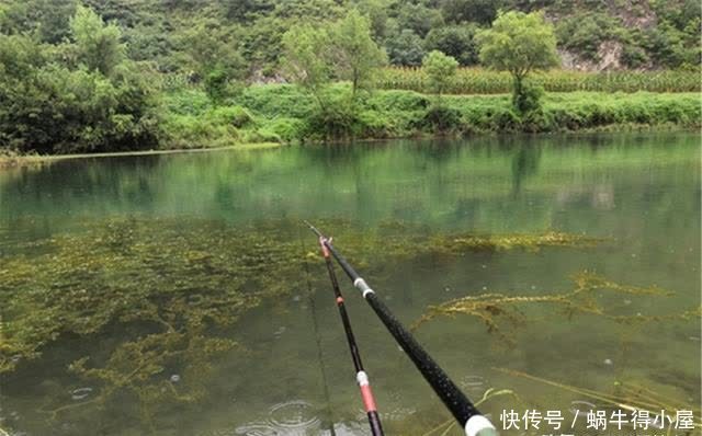 春季钓浅滩，5种“浅水”鱼扎堆，选对了位置，不愁钓不到鱼