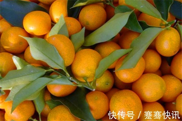 猕猴桃|女性坚持吃4种食物,排毒养颜润肤美白,改善便秘,补充身体营养