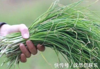 韭菜|农村里有一种叫做“护肾草”的野菜,曾经是给皇上的贡品!