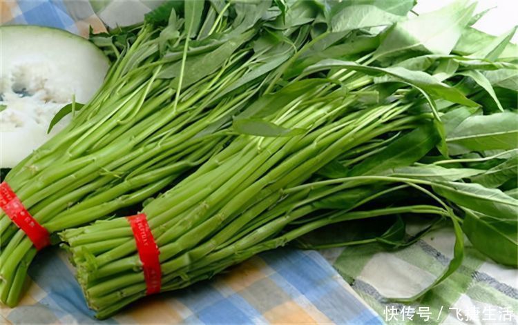 空心菜|对身体最好的3种食物,美容养生、延缓衰老,爱吃就赚了