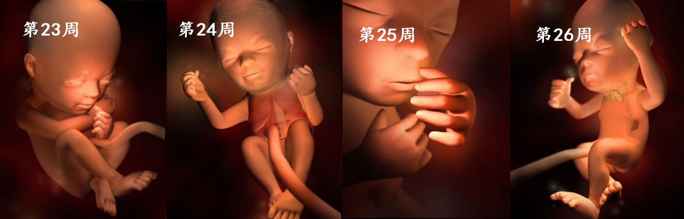 足月妊娠 Johan Vert