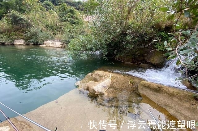 胡子鲶|神仙难钓阴阳天?其实不然,目标和钓法选好一样钓