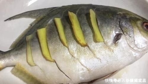 种鱼|去菜市场买鱼时“最好不要买”这4种鱼,既不干净还不卫生