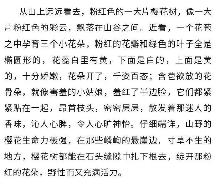 老年|信阳市光山县一景色被央视点赞