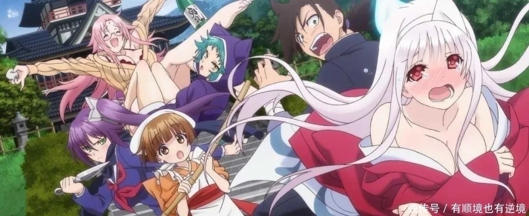 從零開始的異世界生活|日漫中的四大貓娘 福利貓環古達與物語貓羽川翼 你更喜歡誰